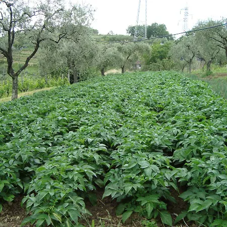 Farm stay Agriturismo Il Fienile *